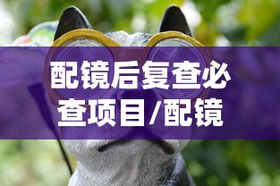 配镜后复查必查项目/配镜后多久复查一次