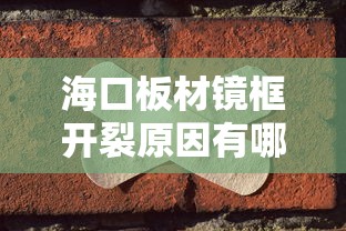 海口板材镜框开裂原因有哪些/板材镜框哪个好又便宜