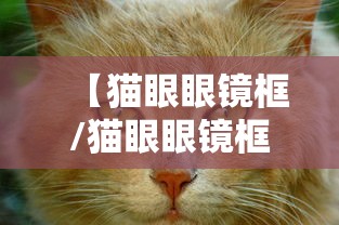 【猫眼眼镜框/猫眼眼镜框适合长脸吗】 【猫眼眼镜框/猫眼眼镜框适合长脸吗】