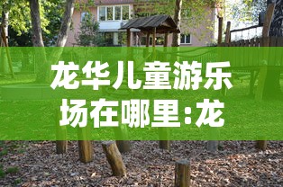 龙华儿童游乐场在哪里:龙华游乐场有哪些好玩的