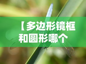 【多边形镜框和圆形哪个更好看/圆脸适合哪款镜框好看】 【多边形镜框和圆形哪个更好看/圆脸适合哪款镜框好看】