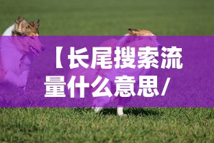 【长尾搜索流量什么意思/长尾渠道是什么意思】 【长尾搜索流量什么意思/长尾渠道是什么意思】