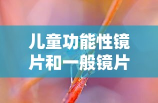 儿童功能性镜片和一般镜片/儿童功能性镜片和一般镜片哪个好 儿童功能性镜片和一般镜片/儿童功能性镜片和一般镜片哪个好
