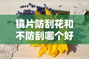 镜片防刮花和不防刮哪个好:镜片防刮花和不防刮哪个好些