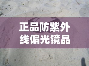 正品防紫外线偏光镜品牌/最好的偏光镜品牌排行